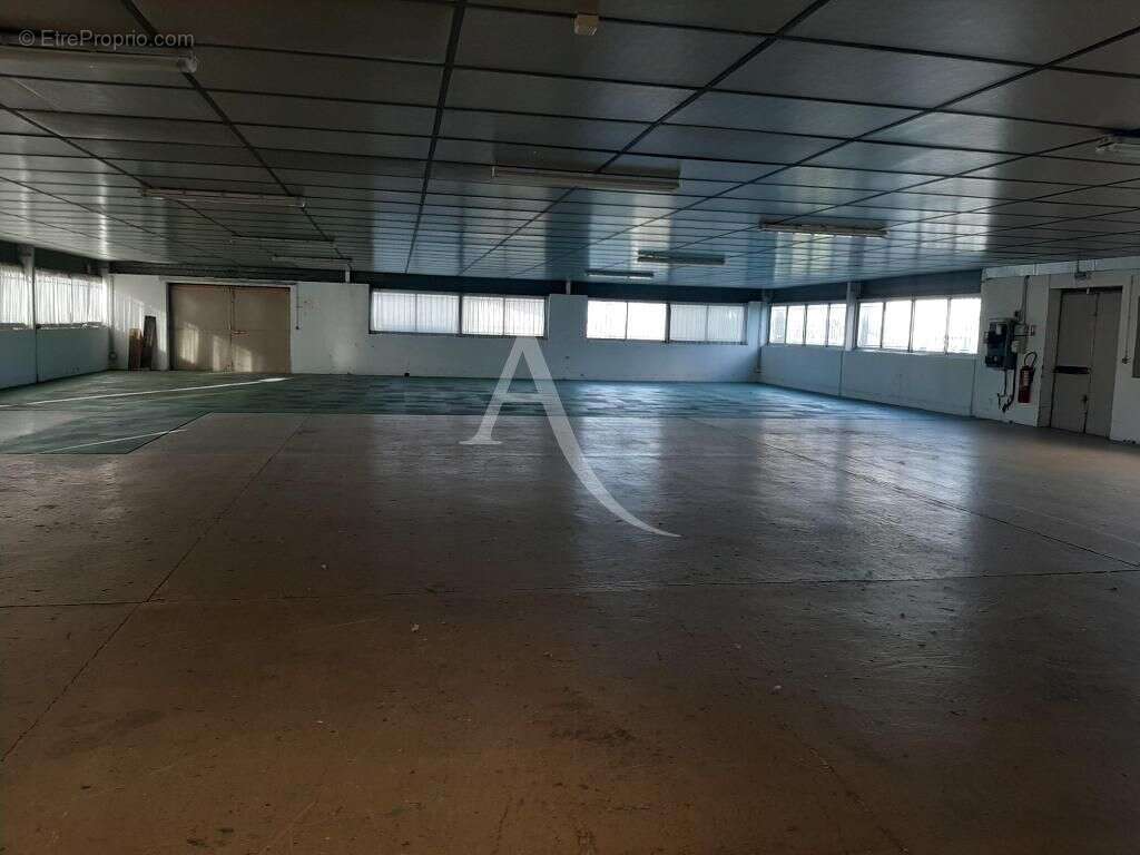 Commerce à L&#039;ISLE-JOURDAIN