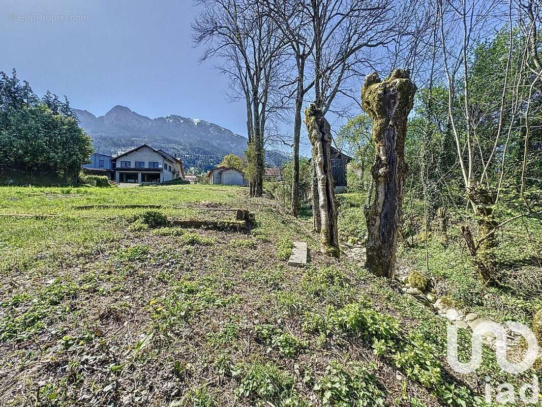 Photo 4 - Maison à SAINT-LAURENT