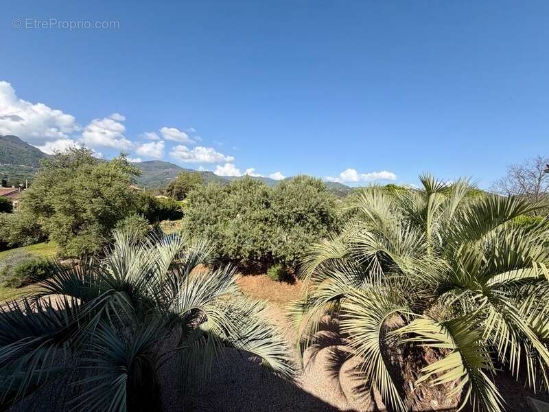 Appartement à SANTA-LUCIA-DI-MORIANI