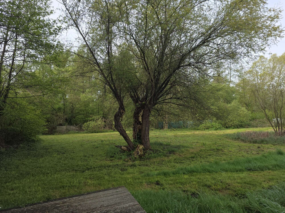 Terrain à CONDE-FOLIE