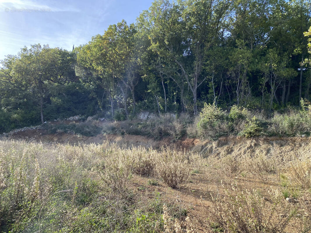 Terrain à CLERMONT-L&#039;HERAULT