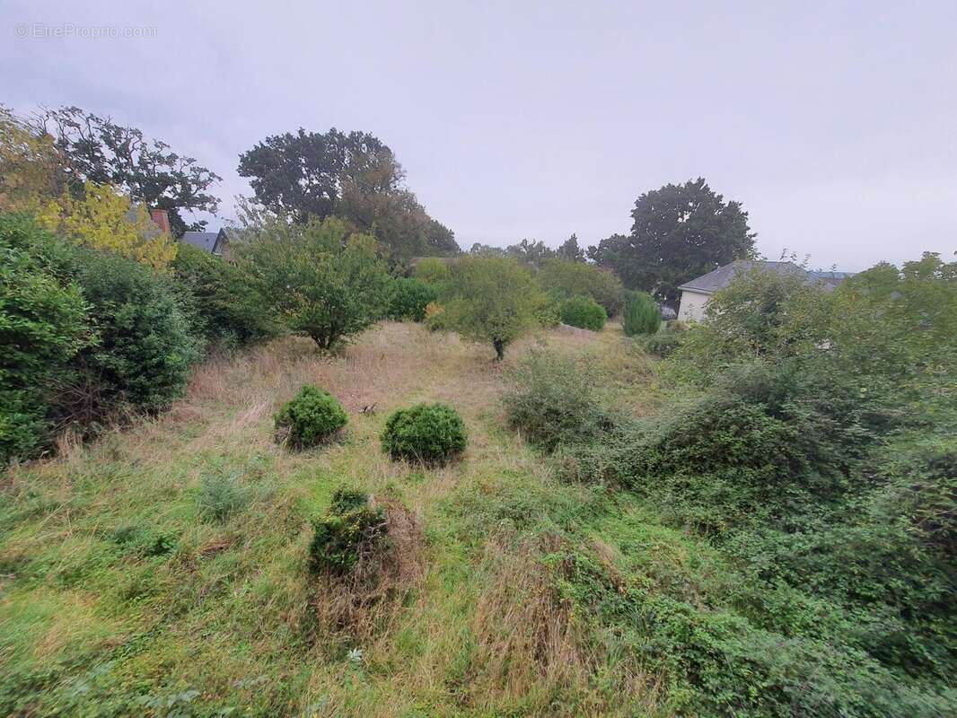 Photo 7 - Maison à SAINT-JULIEN-DE-VOUVANTES