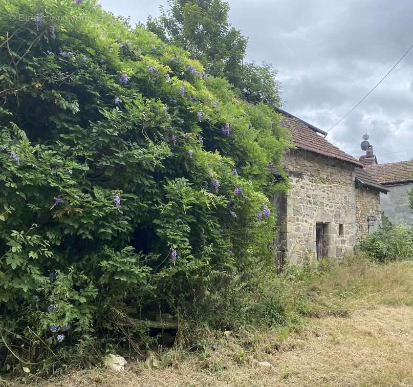 Maison à SAINT-JULIEN-LE-PETIT