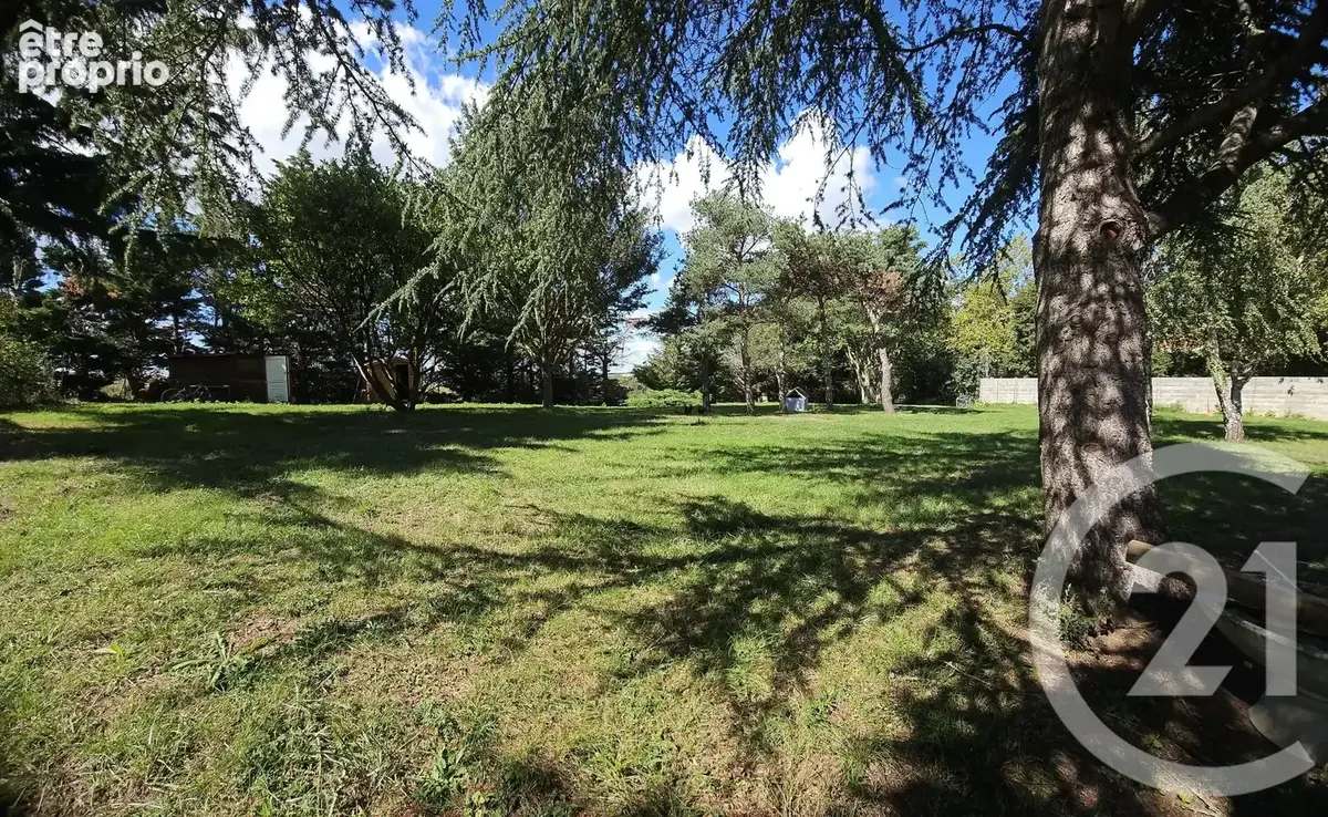 Maison 6 pièces 260 m² à vendre à Montgeard (31560) - photo 8