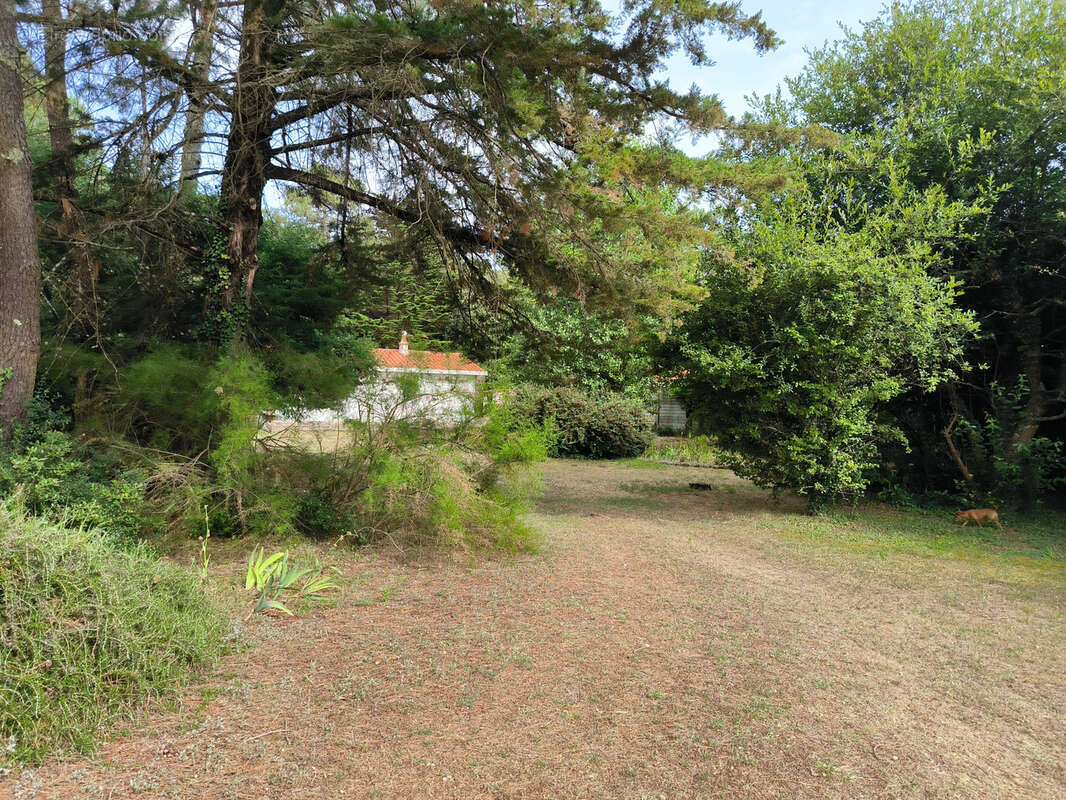 Maison à L&#039;ILE-D&#039;OLONNE