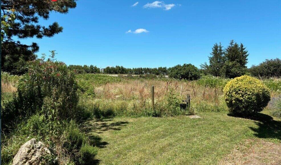 Terrain à SAINT-AGNANT