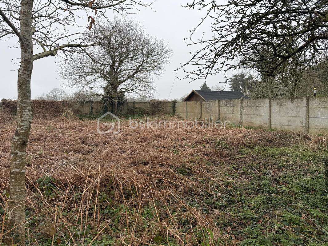 Terrain à TONQUEDEC