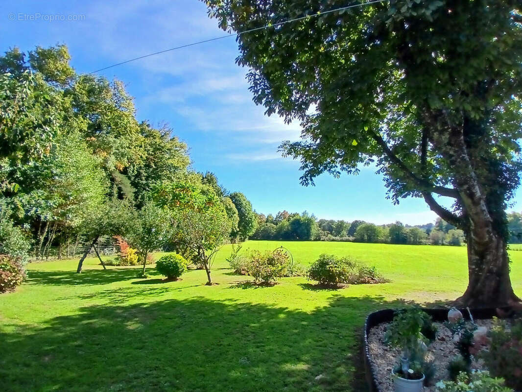 20251007_145458 - Maison à SAINT-PRIEST-LES-FOUGERES