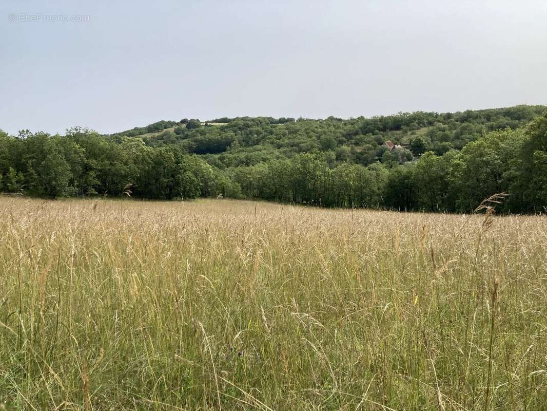 Maison à LABASTIDE-MURAT