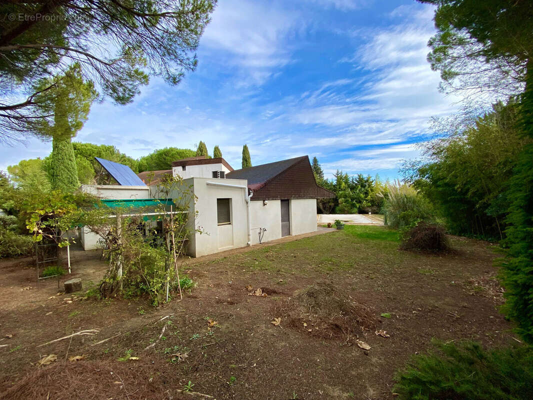 Photo 6 - Maison à MONTPELLIER