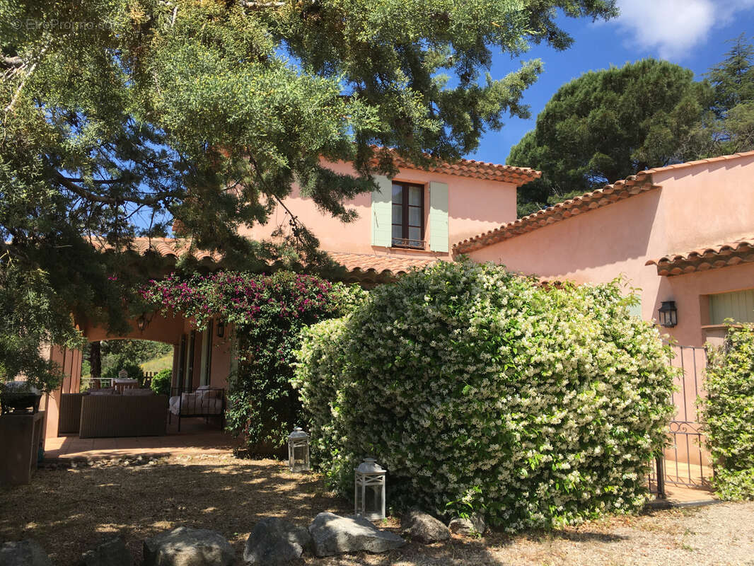 Maison à PLAN-DE-LA-TOUR