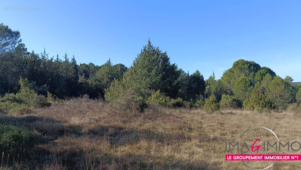 Terrain à MONTARNAUD