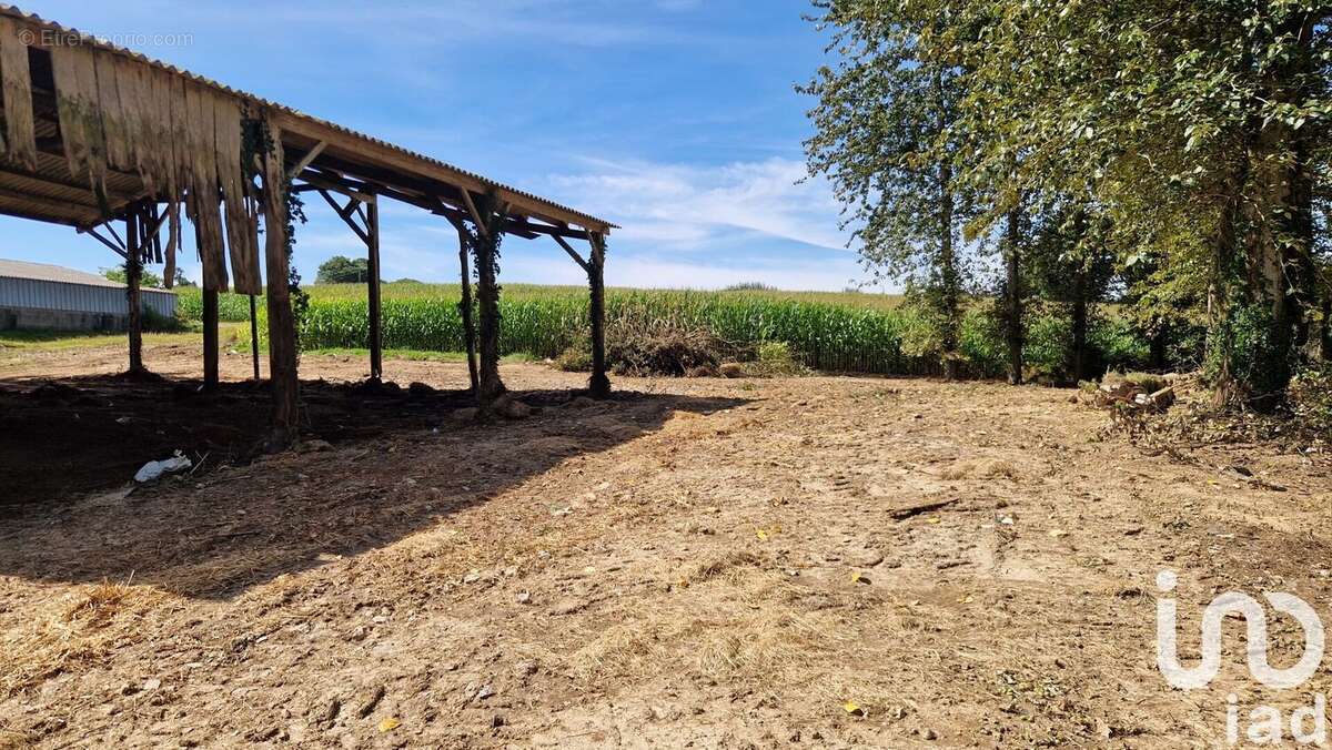 Photo 6 - Maison à COLLINEE