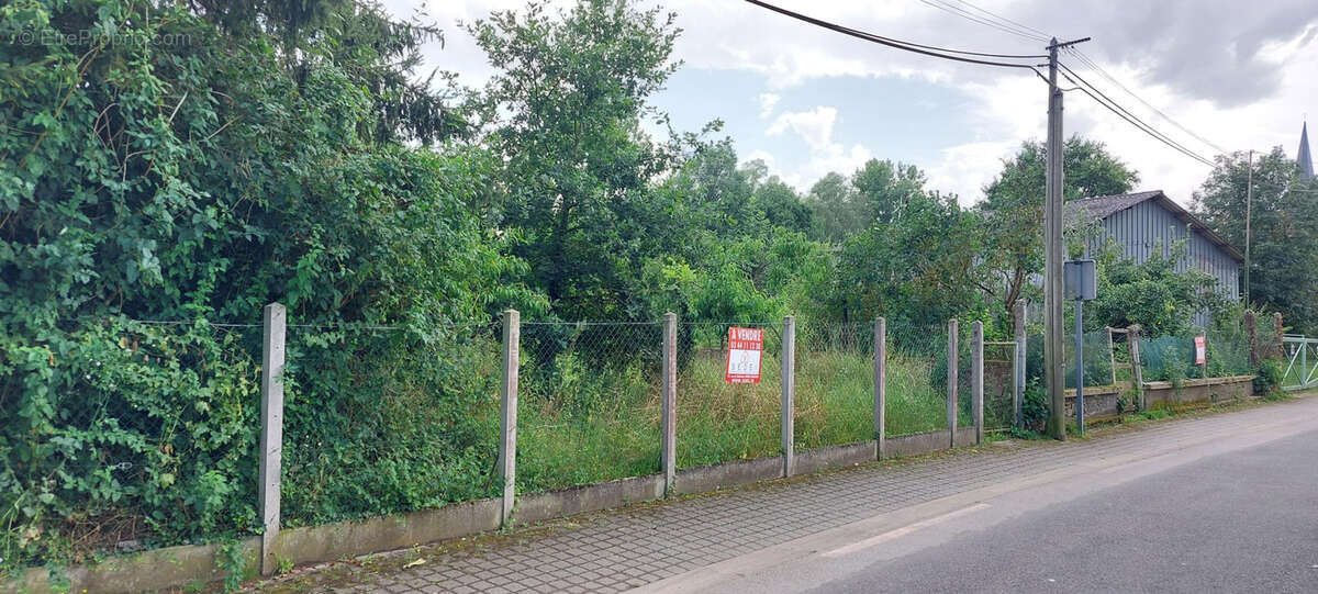 Terrain à BAILLEUL-SUR-THERAIN