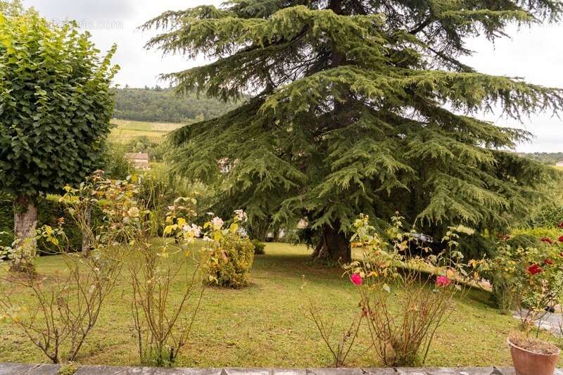 Maison à LA ROCHE-VINEUSE