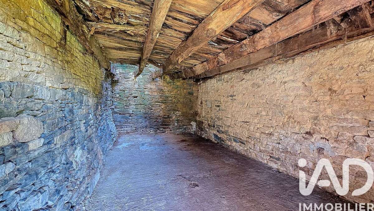 Photo 4 - Maison à ALLAIRE