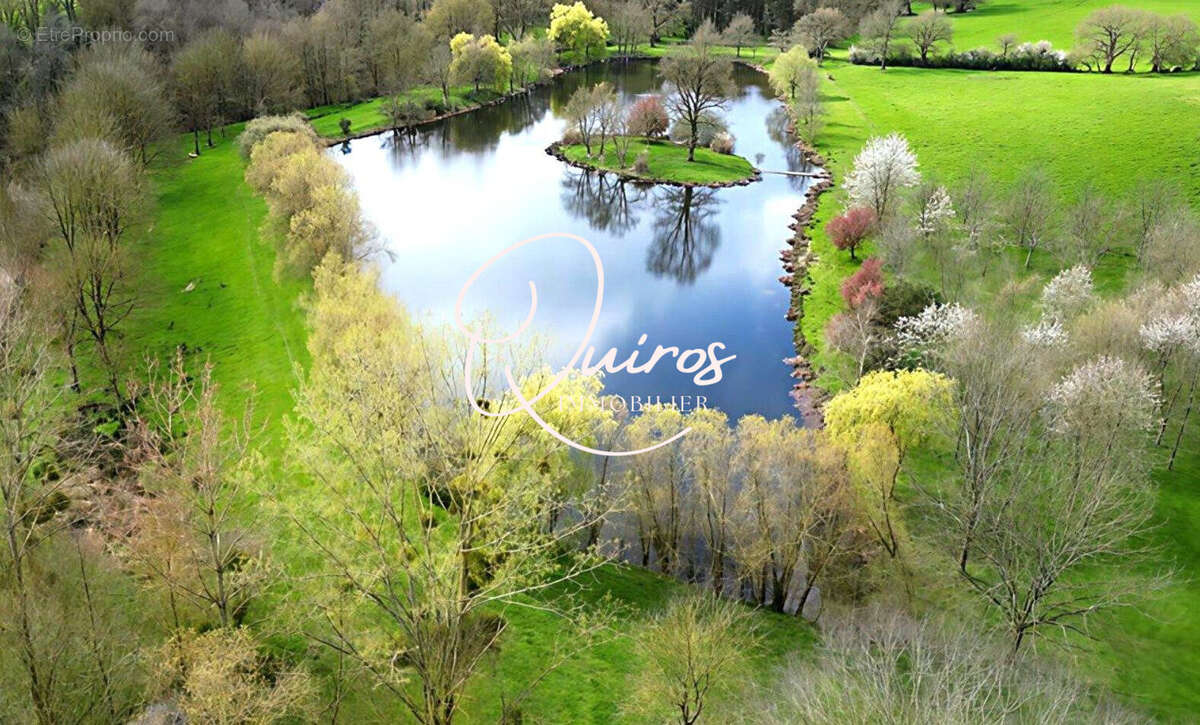 L'ETANG &amp; SON ILE !!..... - Maison à LE LION-D'ANGERS