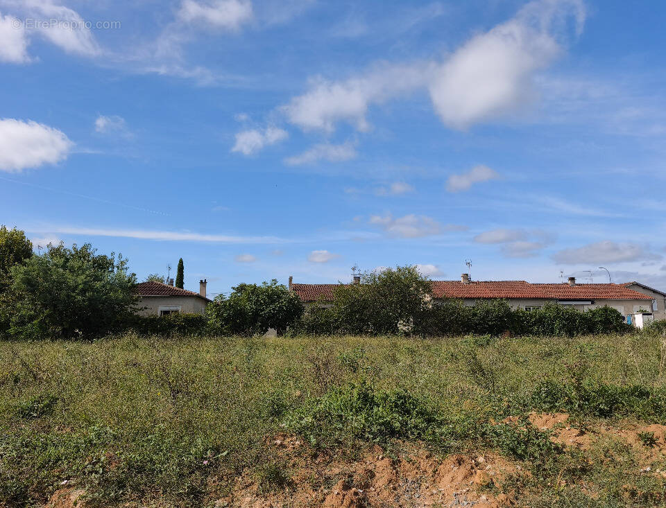 Terrain 629 m² à Gaillac  - photo 1