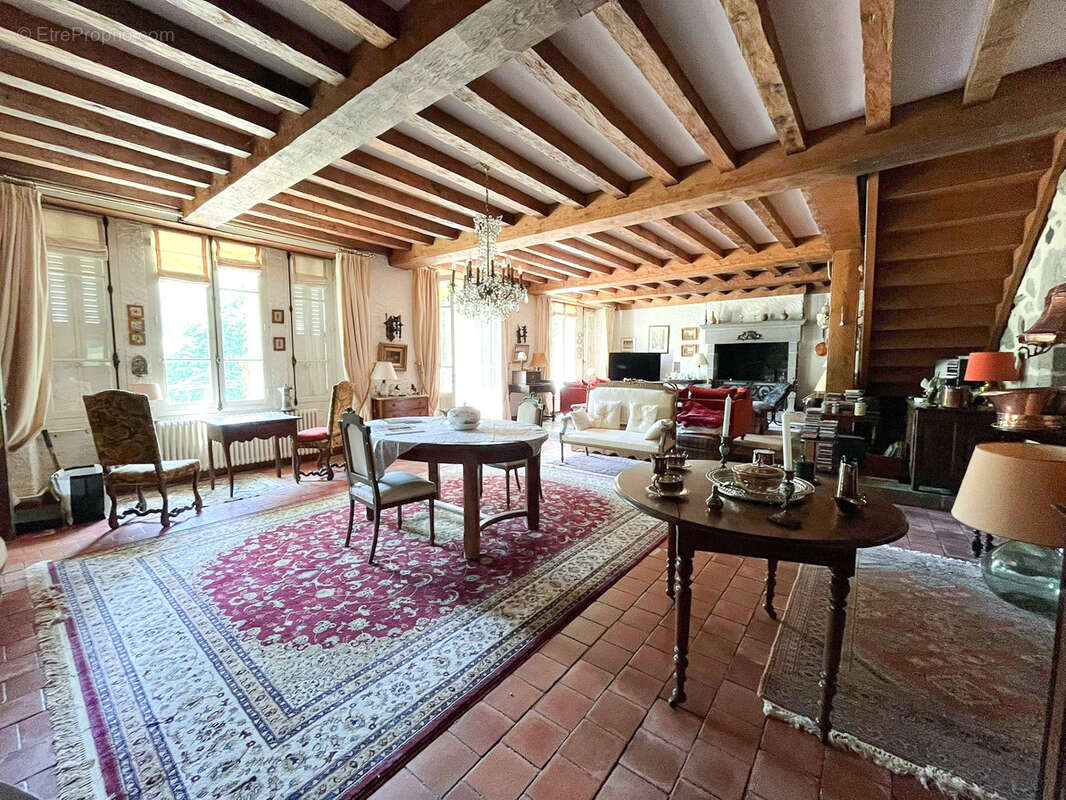CANTAL, Château des Sources à vendre - photo 14