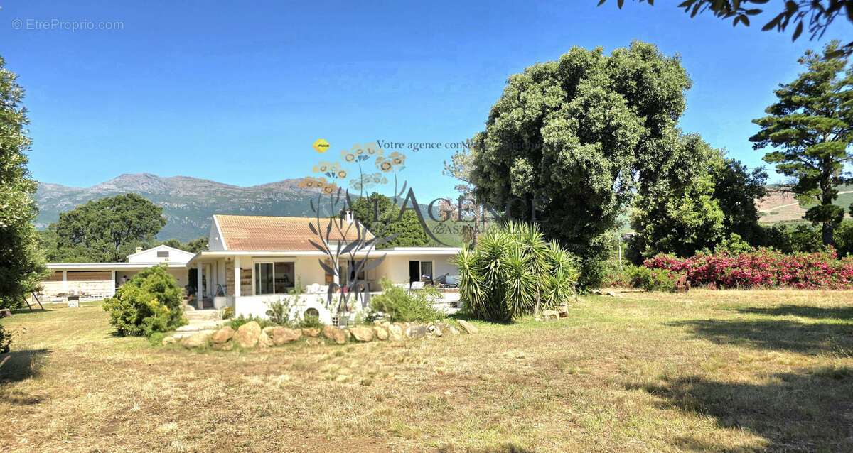 Maison à PIETRACORBARA