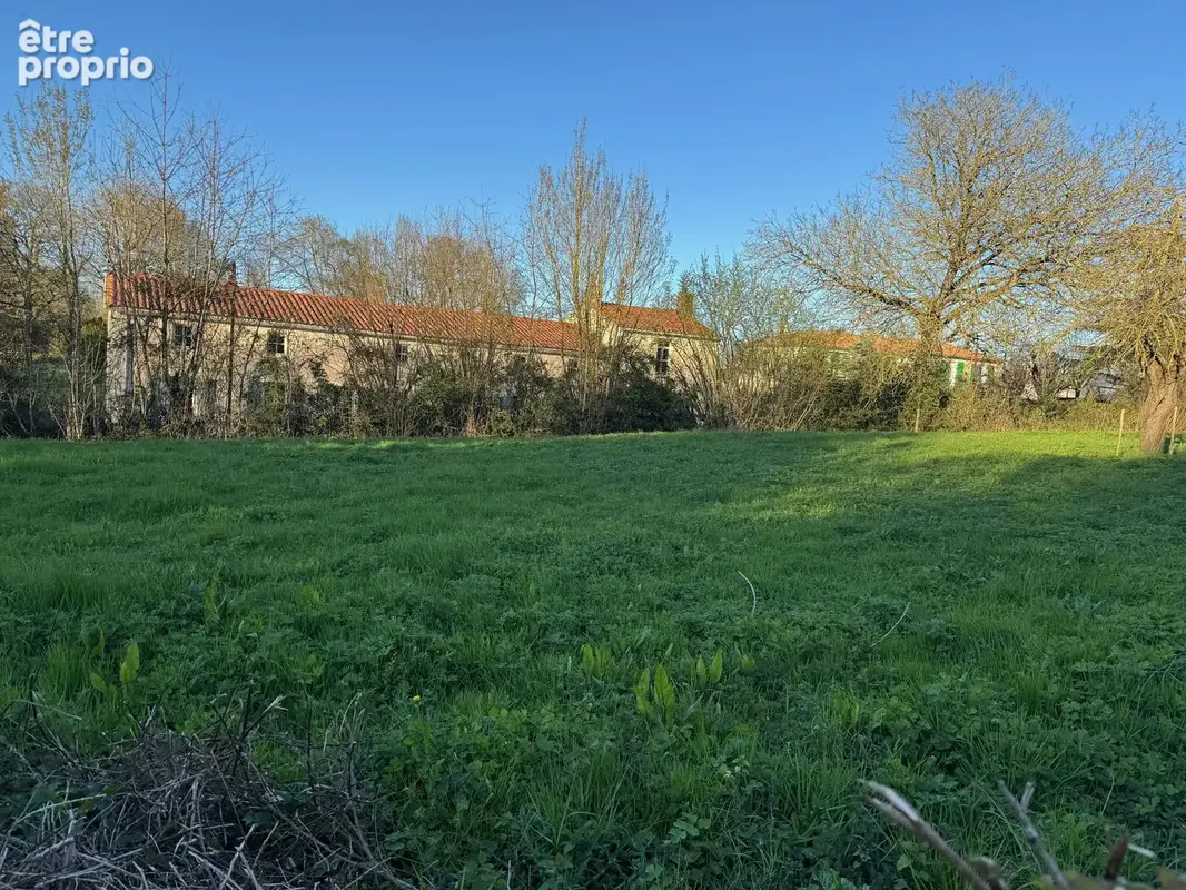 Terrain 967 m² à vendre à La Jaudonniere (85110) - photo 2