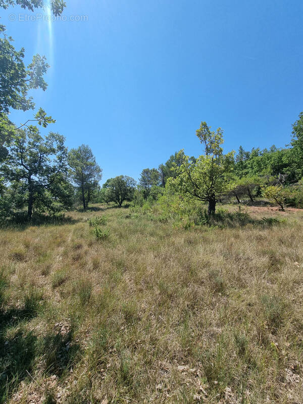 Terrain à MONTMEYAN