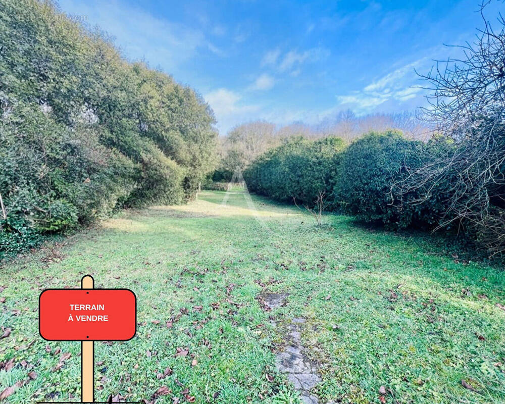 Terrain à CLAYE-SOUILLY