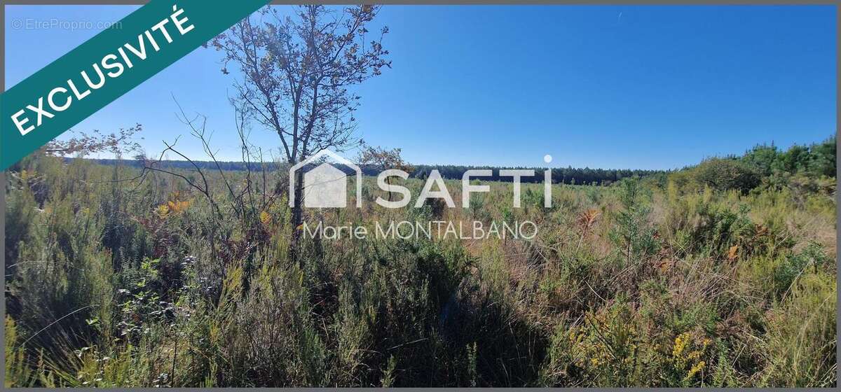 Photo 3 - Terrain à SANGUINET