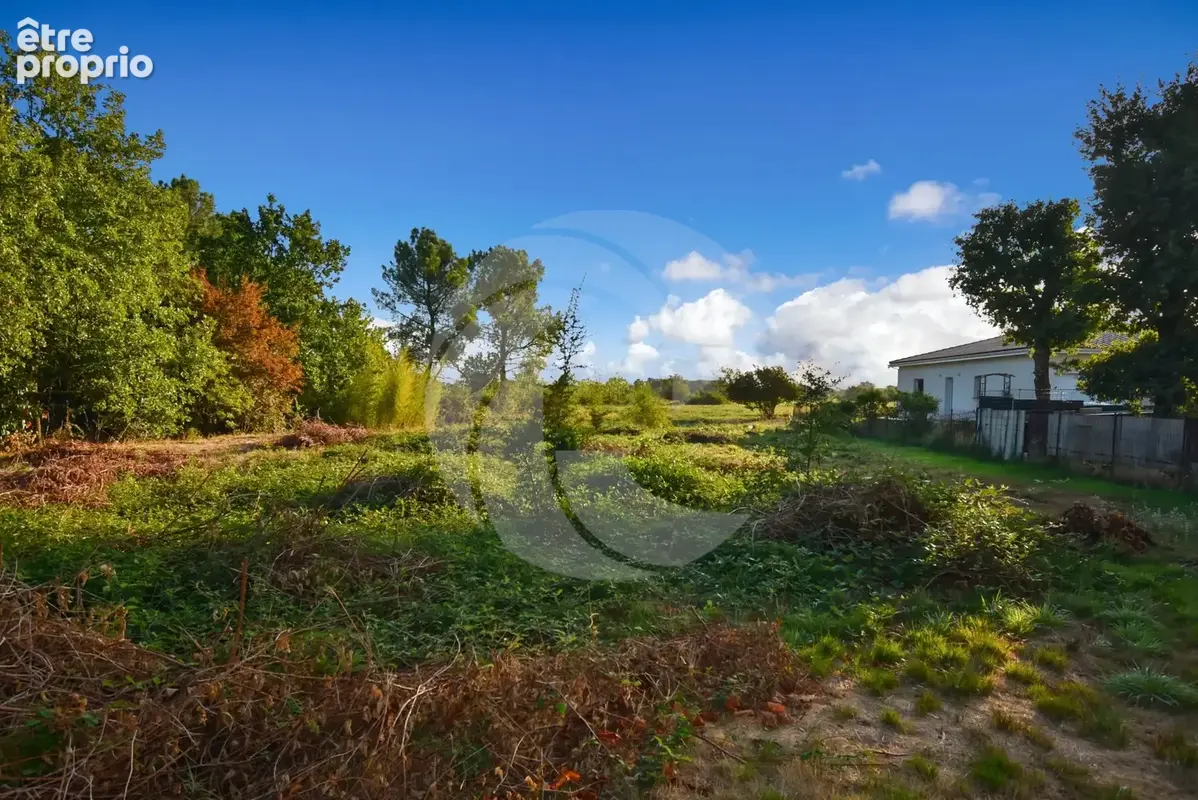 Terrain 1 764 m² à vendre à Montauban (82000) - photo 3