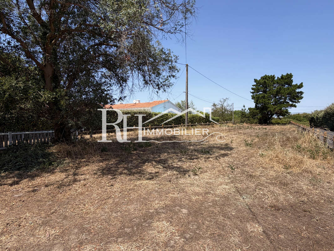 Maison 4 chambres, 2712m2 de terrain - photo 3