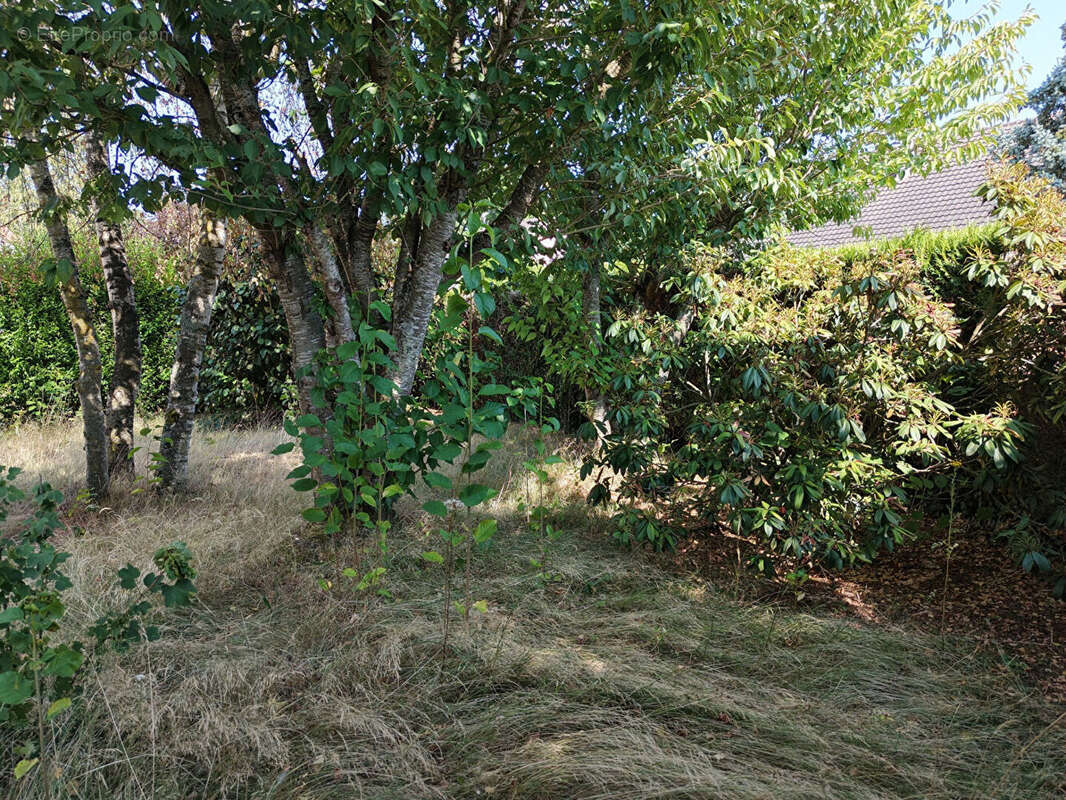 Maison de plain pied sur sous sol 5 mn de maintenon 4 chambres - photo 17