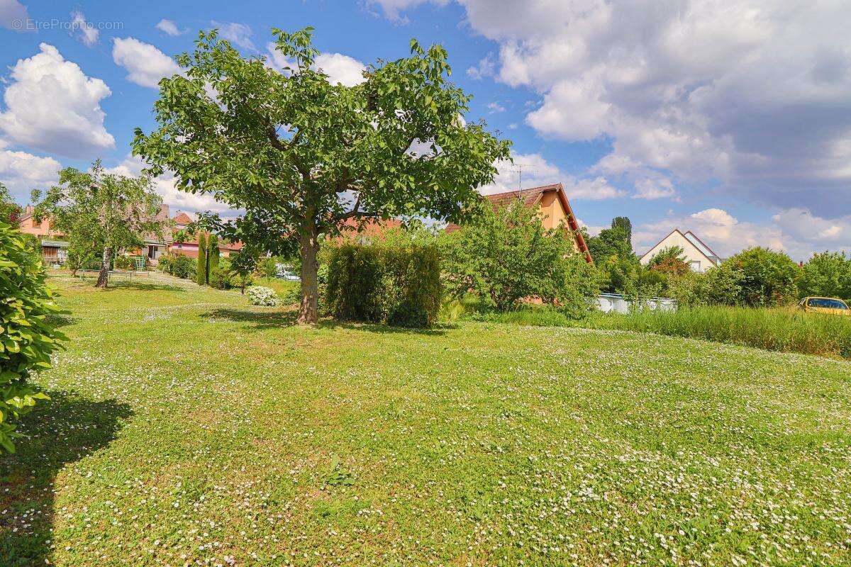 Terrain à HATTSTATT