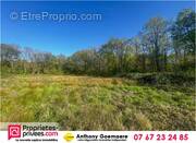 Terrain à VILLEFRANCHE-SUR-CHER