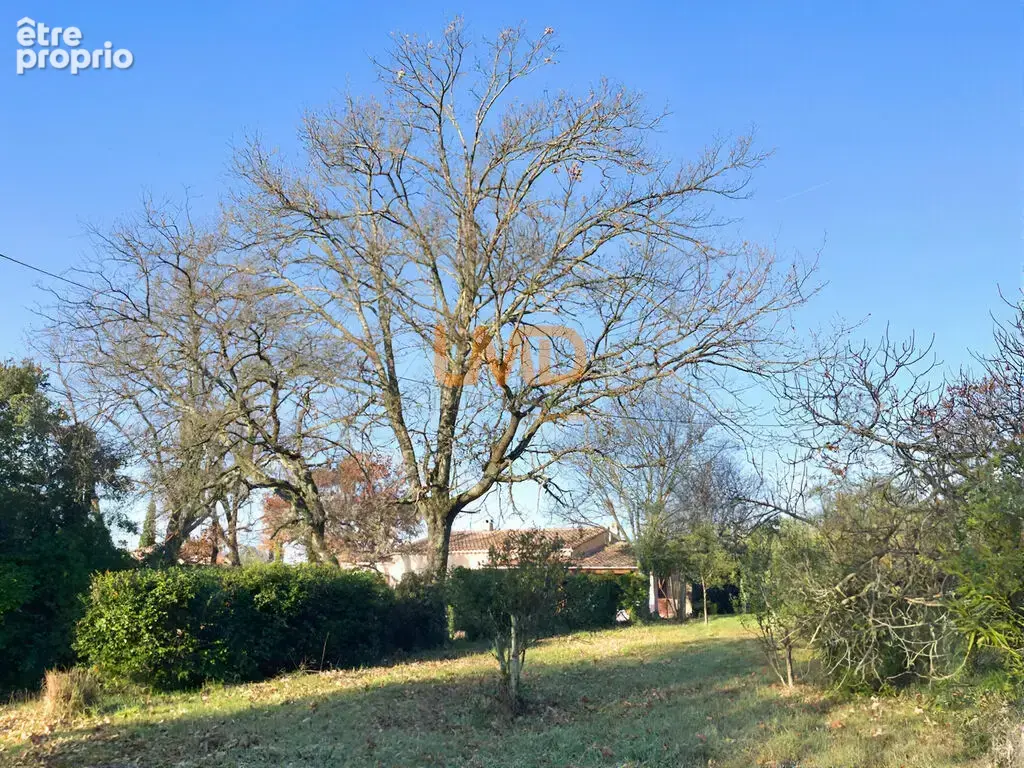 Lorgues – Plain-pied, terrain plat 1 350 m², garage - photo 3