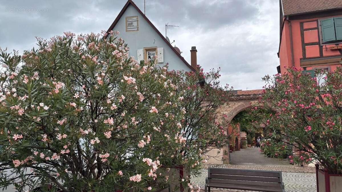 Maison à TURCKHEIM