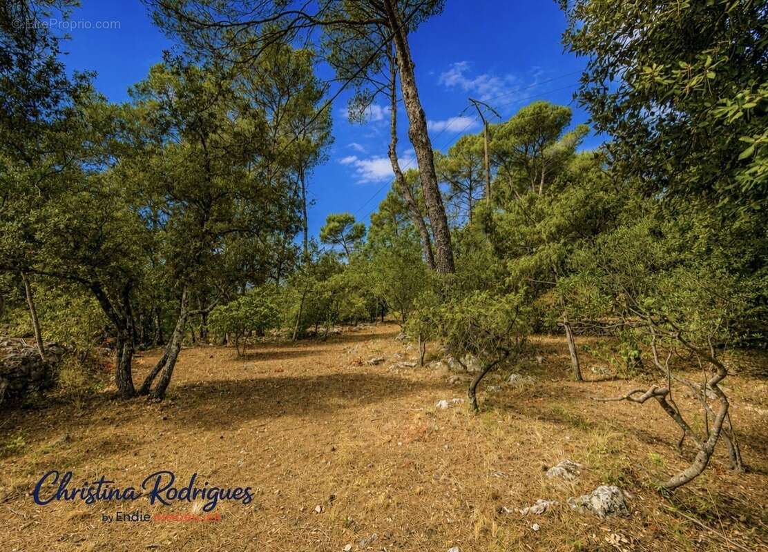 Lorgues terrain a batir - photo 2