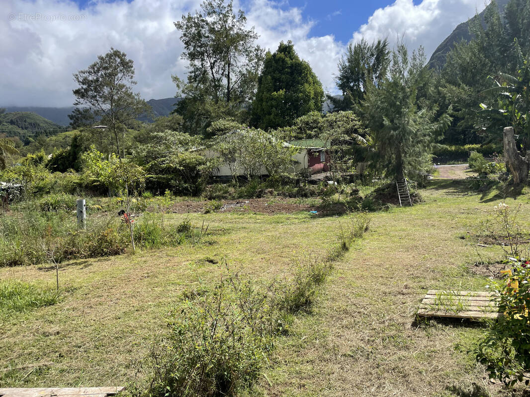 Terrain à LA PLAINE-DES-PALMISTES