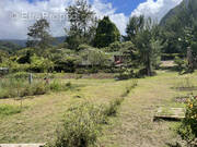 Terrain à LA PLAINE-DES-PALMISTES