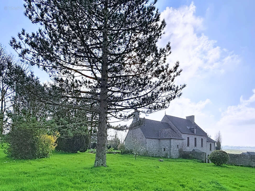 Maison à LIESVILLE-SUR-DOUVE
