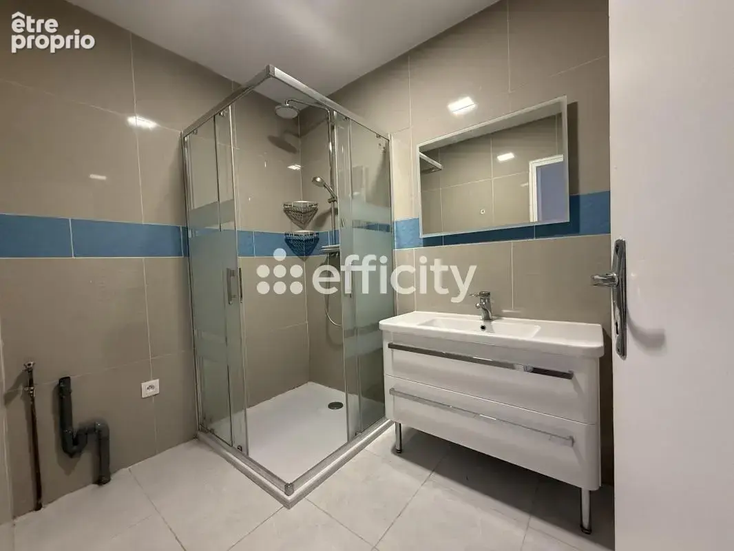Maison 7 pièces 228 m² à vendre à Saint-Jean-Le-Blanc (45650) - photo 10