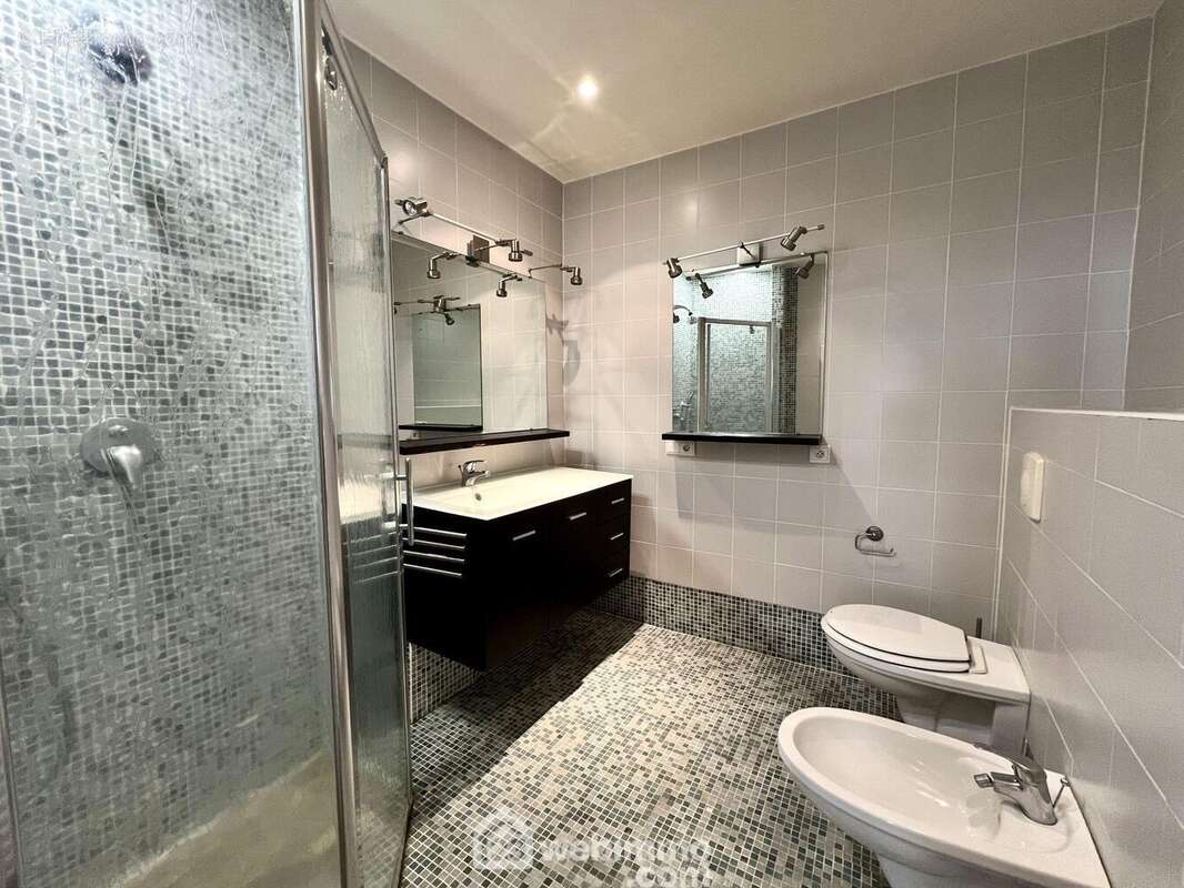 La salle d'eau également en parfait état - Appartement à SAN-MARTINO-DI-LOTA