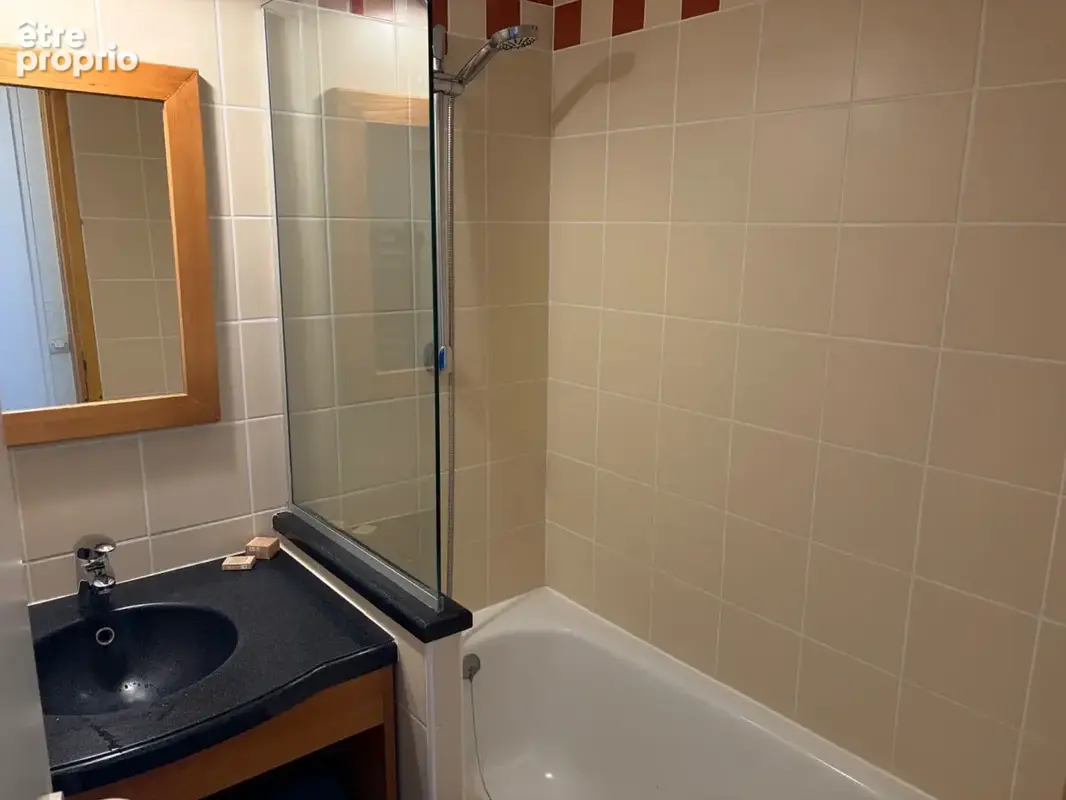 Ski Apartment for sale La Plagne - a vendre  (1)