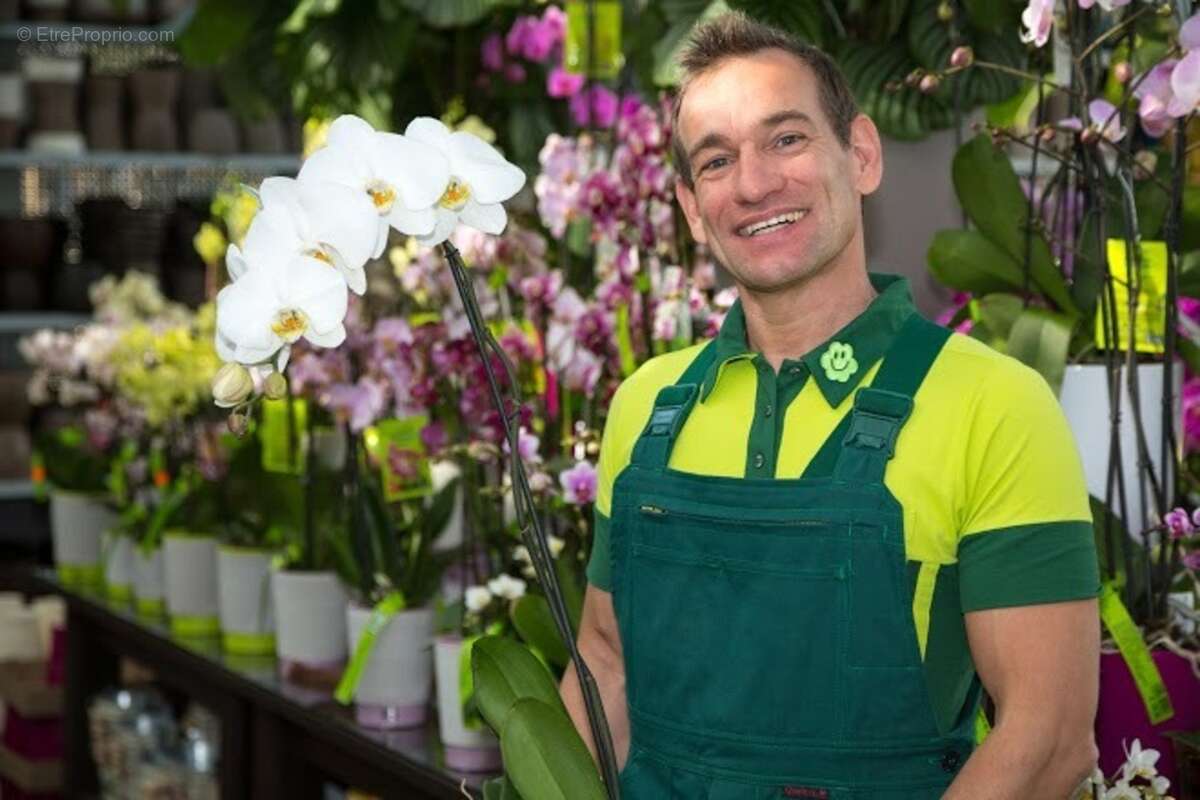 Fonds de commerce à vendre proche de TOULOUSE (31) - Cession d'une boutique de fleurs avec une activité  d'espace vert. EBE: 70  - photo 3