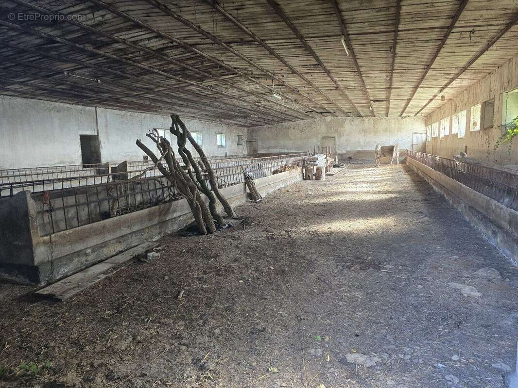 Corps de ferme avec maison, appartement et dépendances - Durenque - photo 7