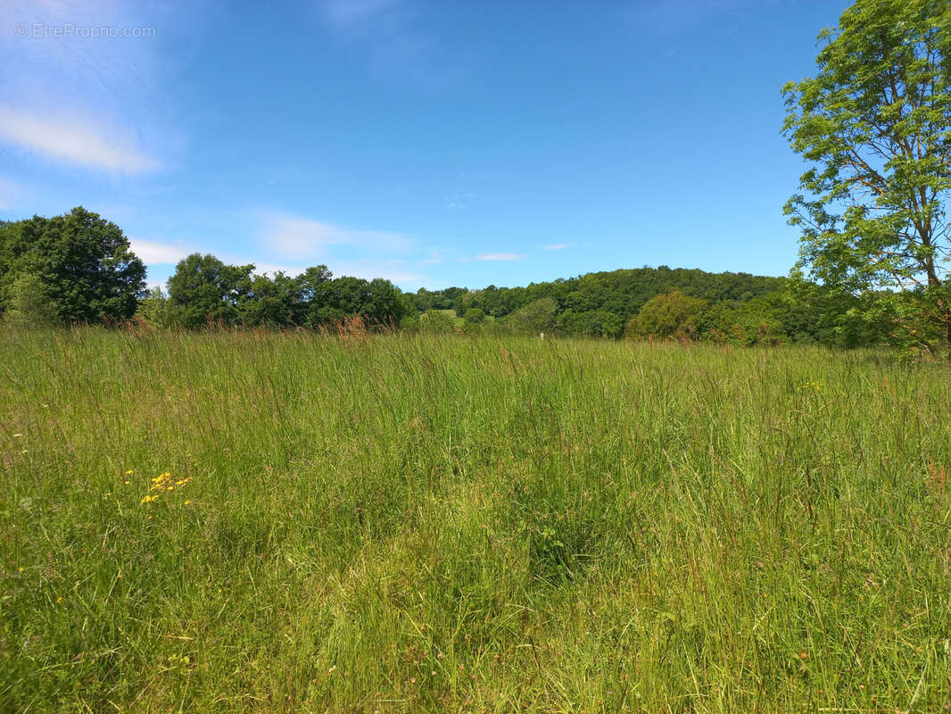 Terrain à VILLECOMTAL-SUR-ARROS