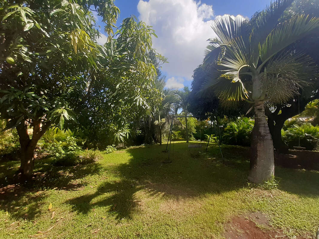 Terrain à SAINT-PAUL