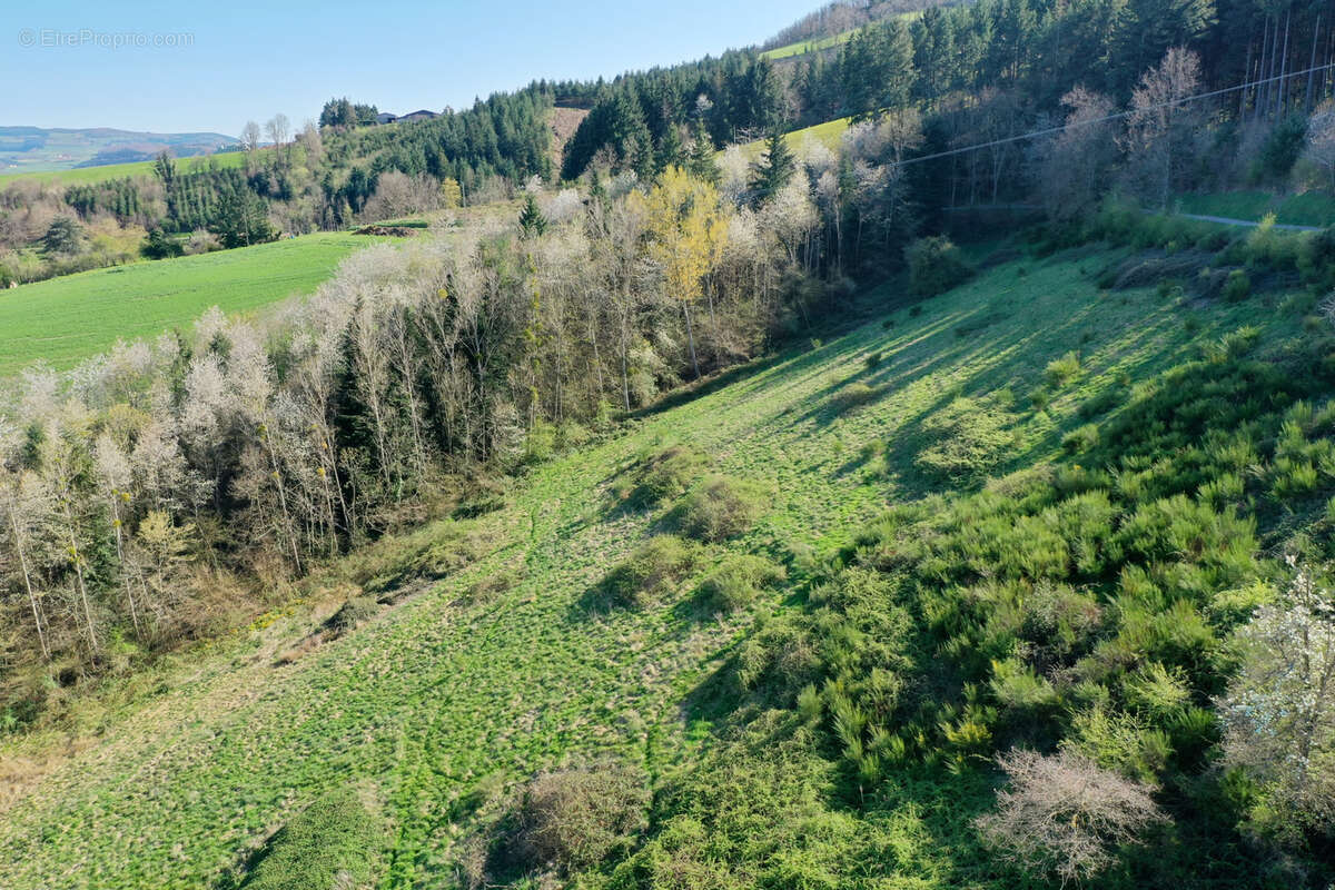 Terrain à AMPLEPUIS