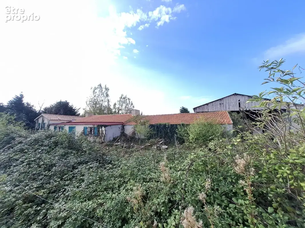 Maison 4 pièces 160 m² à vendre à Notre-Dame-De-Monts (85690) - photo 3