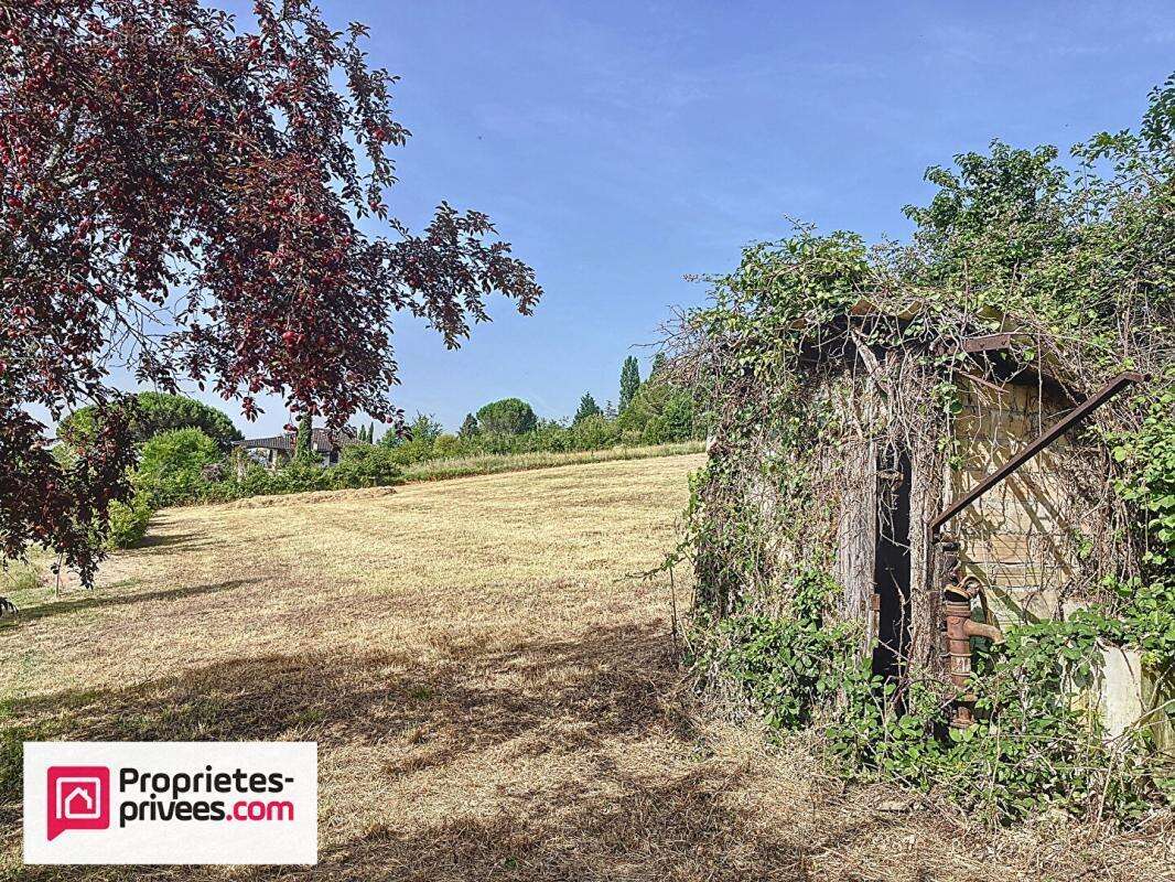 Terrain à RABASTENS