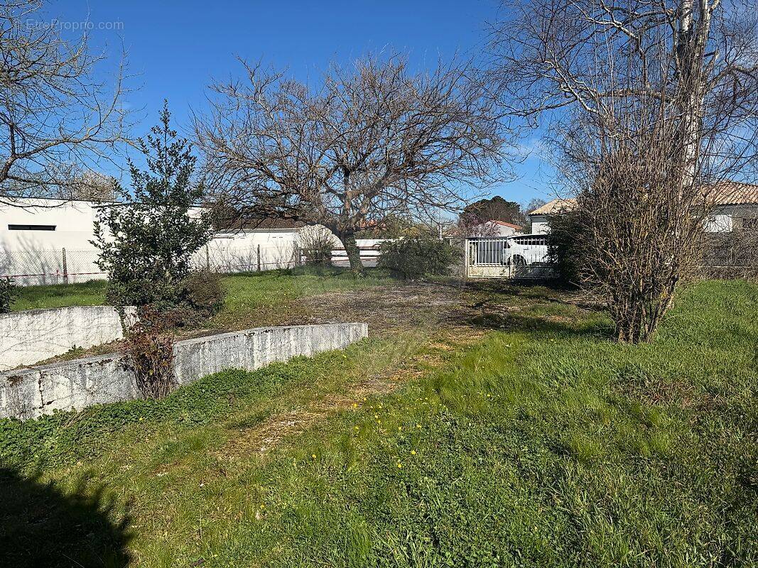 Terrain à LES MATHES